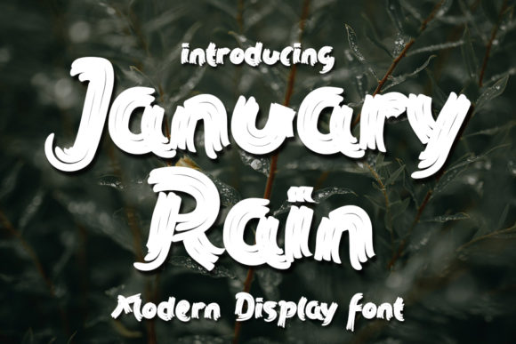 January Rain: The Bold Brushed Display Font That Commands Attention